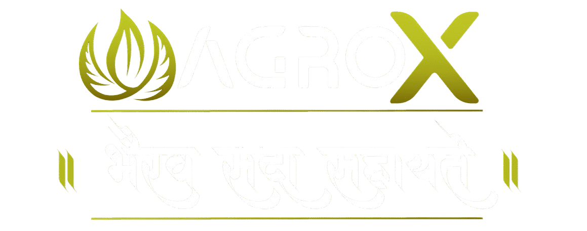 AgroX Organic Exports